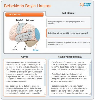BABY BRAIN MAP BABY BRAIN MAP